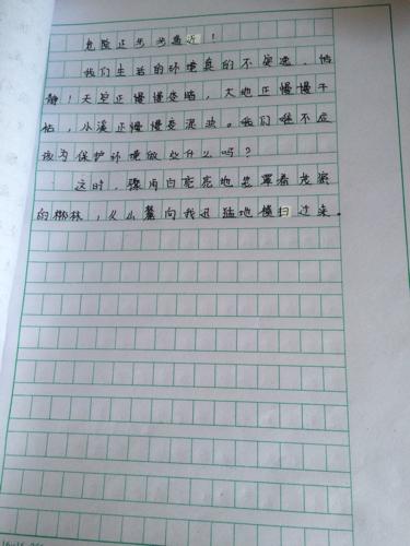 神奇的水果成分