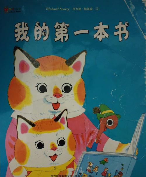 我的第一本书