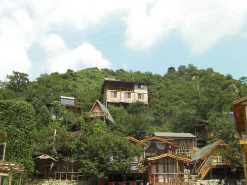 走进友林