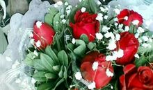 家有小妹初长成