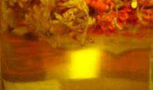 我与桂花的亲密接触