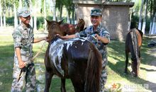 我是边防小军娃