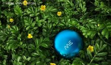 听，露珠跳动的声音