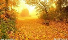 我最喜欢的季节秋天