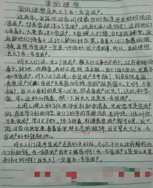 我的理想是当店主