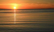 飞翔，只为更美的远方