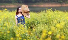 来自精灵森林的声音