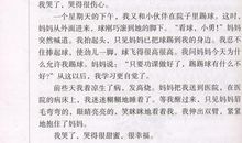 关于爱好的作文