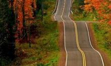 生命，是四季的轮回