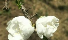 爱到深处才平淡