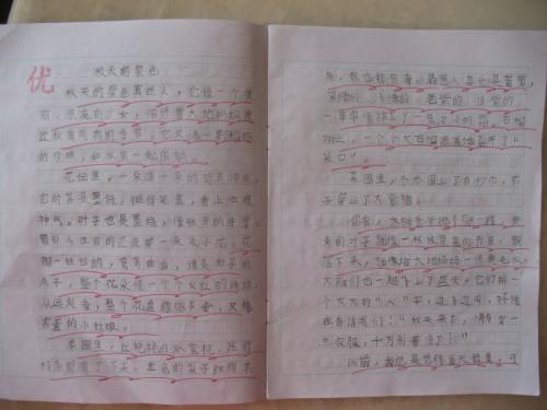 什么是二年级作文