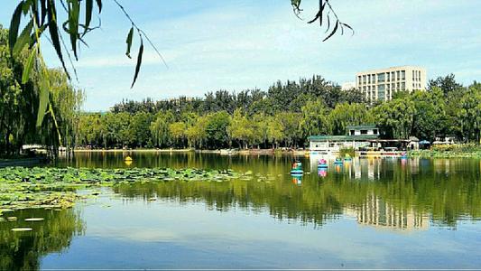 美丽的青年湖公园