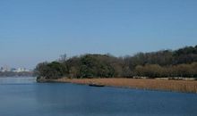 如果我的老家在西湖