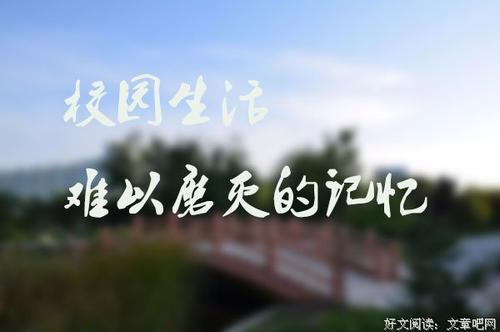 校园生活的酸