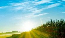 当人生有了希望