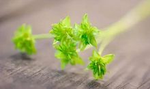 温暖，源于那一份善良