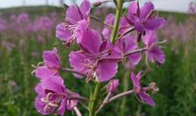 请珍惜美好时光