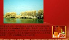 我爱我的家乡——泰州