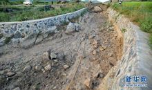 假如所有的小河都干涸