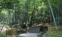 庞然伫立的你心生敬畏的我