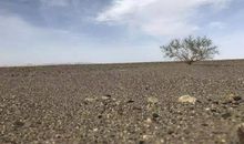 九年级，和坚持一起走过