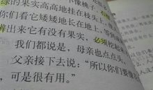 灯借物喻人作文