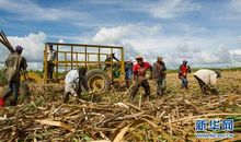 一张照片的收获