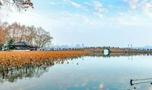 西湖景点在我家