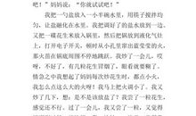 寒假一件难忘的事