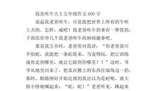 吹牛大王作文500字