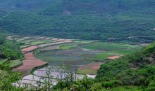 家乡最美是田野
