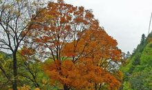 那个苛求我的人