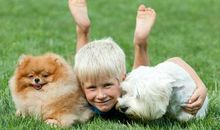 我邻居家的小狗