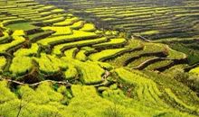 发现真实的韵律真不容易