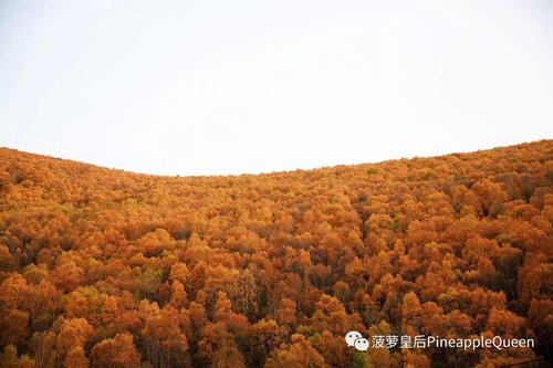 一丝甜蜜留在我的记忆中