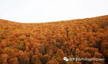 留在记忆深处的一丝甜