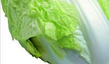 一棵白菜的自述