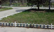 学校前院的花坛