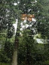 雨中漫步
