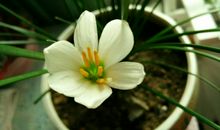 有雨的日子，真好