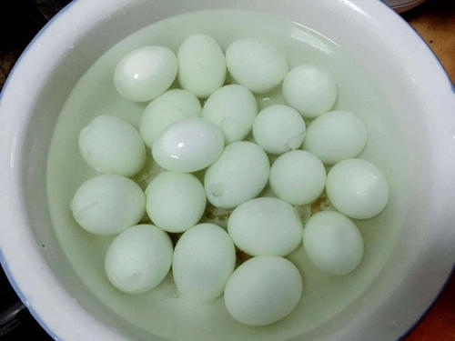 我爱鸡蛋