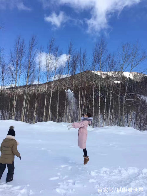 雪中​​的乐趣