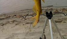 难忘第一次钓鱼