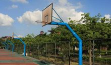 坚持自己的兴趣