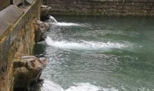 白发里的微感动