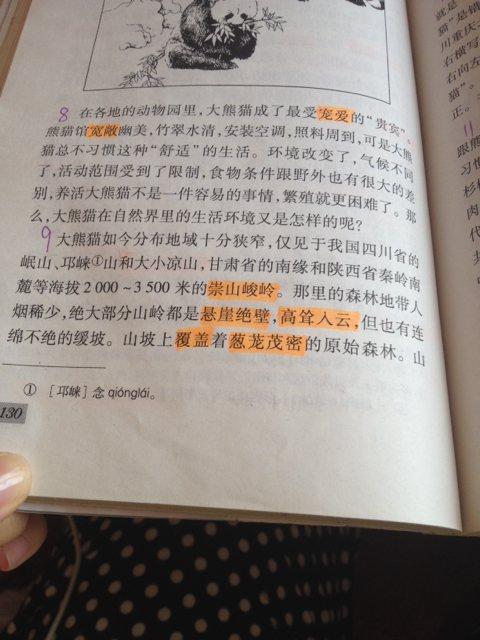 描述熊猫的成分