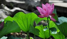 一件令人兴奋的事