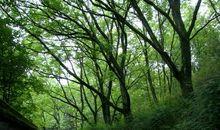 美丽的龙渊湖公园