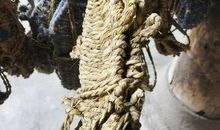 挥之不去的年味