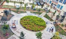 校园中的绿化带